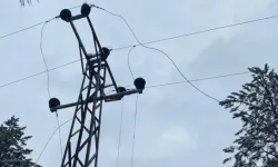 Şanlıurfa'da elektrik akımına kapılan kişi yaşamını yitirdi