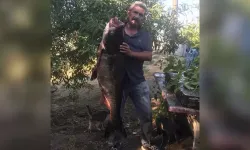 Meriç Nehri'nde 1 metre 20 santimetre boyunda gümüş sazanı yakalandı