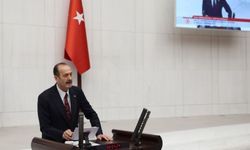 MHP’li Osmanağaoğlu: Ormana zarar vermek de vatana ihanetle eşdeğerdir.