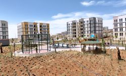 Şanlıurfa'daki 2 bin 738 deprem konutunun yapımı tamamlandı