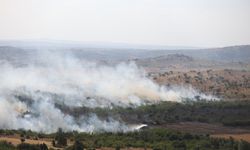 Kırklareli'nde tarım arazisinden ağaçlık alana sıçrayan yangın söndürüldü
