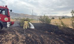 Diyarbakır'ın 3 ilçesinde ormanlık ve tarım alanlarında çıkan yangınlar söndürüldü
