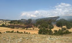 Bolu'da iki ayrı ormanlık alanda çıkan yangınlar kontrol altına alındı