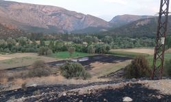 Çorum'da anız yangınının ortasında kalan kişi yaşamını yitirdi
