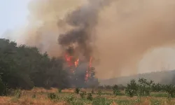 Bilecik'te alevler yeniden yükselmeye başladı