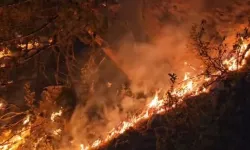 Eskişehir'de orman yangınında 10 işçi şehit oldu