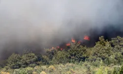 Manisa'nın Saruhanlı ilçesinde çıkan orman yangınına müdahale ediliyor