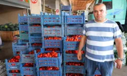 Salça Dönemi Başlamayınca Domatesin Fiyatı 3 TL'ye Kadar Düştü
