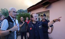 AFAD'dan Ödemiş'teki orman yangınına ilişkin bilgilendirme