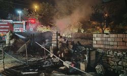 Burdur'da ağılda çıkan yangında 3 koyun, 7 kuzu telef oldu