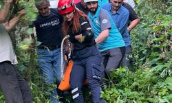 Giresun'da yamaçtan yuvarlanan kişi yaralandı