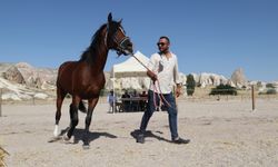 Kapadokya'da "At Güzellik Yarışması" düzenlendi