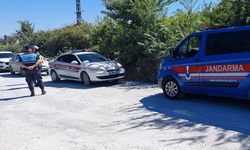 Manavgat'ta hayvan parkından kaçan aslan vurularak etkisiz hale getirildi