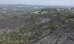 Altıeylül'deki yangın böyle görüntülendi