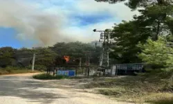 171 uluslararası STK, Gazze'de ablukanın kaldırılması çağrısı yaptı
