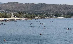 Bodrum’da termometreler şaştı, sahillerde iğne atsan yere düşmedi