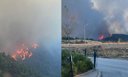 Bursa’nın ciğerleri yanıyor