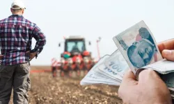 Tarım Bakanlığı’ndan Çiftçiye 865 Milyon Liralık Destek Ödemesi
