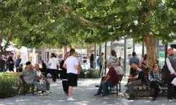 Gaziantep ve çevre illerde sıcak hava etkisini sürdürüyor