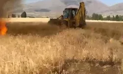 Gümüşhane Kelkit'te anız yangını