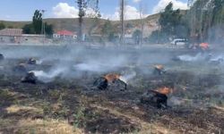 Hakkari’de yaklaşık bin 500 bağ ot kül oldu