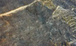 Hatay'daki orman yangınını söndürme çalışmaları havadan görüntülendi