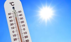 Hava sıcaklığı yurt genelinde mevsim normalleri üzerinde seyredecek