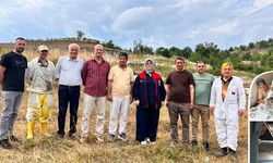 Yığılca arısı için suni tohumlama
