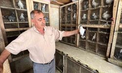 Depremde 170 güvercini telef oldu, kuş sevdası geçmedi