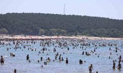 KOSKEM 1 haftada 202 can kurtardı