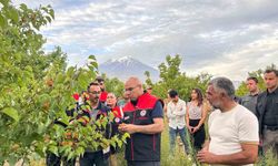 Ağrı Valisi Koç, Doğubayazıt’ta bir dizi incelemelerde bulundu
