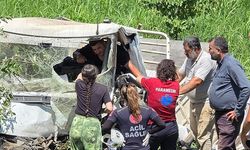 Süt toplama kamyoneti şarampole yuvarlandı: 1 yaralı