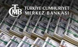 TCMB 30 Temmuz 2025 Döviz Kurlarını Açıkladı