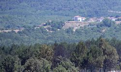 Kastamonu için yüksek sıcaklık ve orman yangını uyarısı