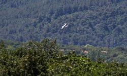 Havadan sonra karada da tam isabet: Kemankeş 1 hedef tanımıyor!