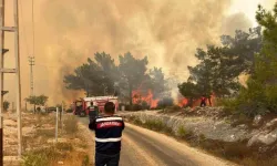 Mersin’deki Orman Yangınında Jandarma Ekipleri Aktif Rol Aldı