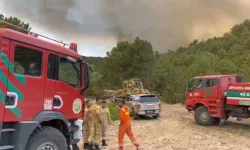 Orman Bölge Müdürü yangının ortasında kaldı