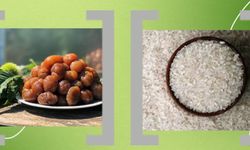 Bursa Kestane Şekeri ve İpsala Pirinci AB’de Tescil Sürecinde