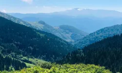 Giresun'un Paşakonağı Yaylası, Doğaseverleri Büyülüyor