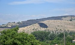 Kuzey Makedonya ile Kosova sınırı yakınlarındaki yangın söndürme çalışmaları devam ediyor