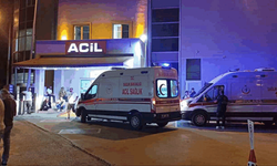 Yalova'da 45 kişi gıda zehirlenmesi şüphesiyle hastanelere başvurdu