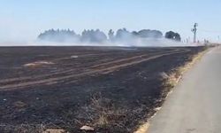 Silivri’de anız yangınında vatandaşlar seferber oldu: Traktörler ve çalılarla müdahale ettiler