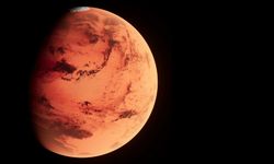 Mars'tan gelen ve dünyaya düşen en büyük gök taşı New York'ta 5,3 milyon dolara satıldı