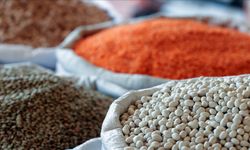 Güneydoğu'nun Afrika ülkelerine hububat ihracatı yüzde 32,9 arttı
