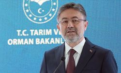 Bakan Yumaklı orman yangınından etkilenen Kocaali ve Kızılcaterzi köylerinde incelemelerde bulundu