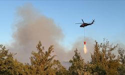 Bursa'da çıkan orman yangını kontrol altına alındı