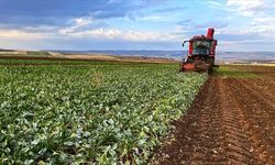 Tarım ve Orman Bakanlığı 344,8 milyon TL destek ödemesini çiftçilere aktaracak