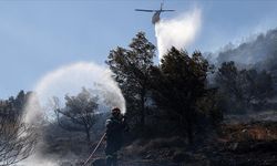 Avrupa, günlerdir devam eden orman yangınlarıyla mücadele ediyor