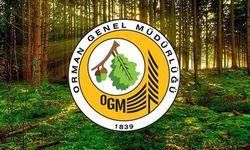OGM, "yangınlarla mücadele yetersiz kalındığı" ve "personel eksikliği" iddialarına yanıt verdi