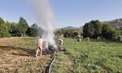Diyarbakır'da 4 milyon 459 bin kök kenevir ve skunk ele geçirildi
